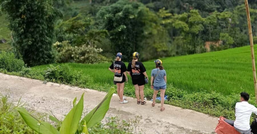 Sapa Scenic Motorbike Adventure With Local Guide - Discovering Sapa’s Natural Beauty on Two Wheels