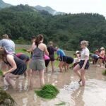 Sapa: Trekking 2 days 1 night in homestay - The Itinerary Breakdown: What to Expect from Start to Finish