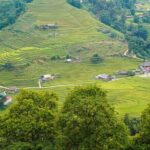 Sapa Trekking 3 Days 2 Nights (Homestay) - Departure From Hanoi - Real Experiences from Travelers