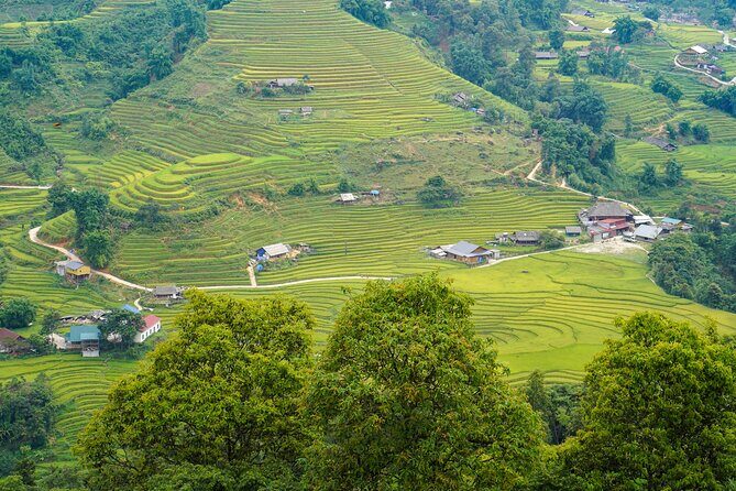 Sapa Trekking 3 Days 2 Nights (Homestay) - Departure From Hanoi - Real Experiences from Travelers