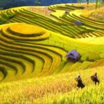 Sapa Trekking Tours - 2 Days 1 Night Stay At Homestay - Authentic Experiences and Cultural Encounters