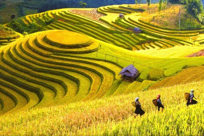Sapa Trekking Tours - 2 Days 1 Night Stay At Homestay - Authentic Experiences and Cultural Encounters