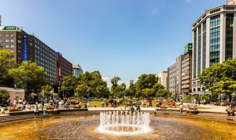 Sapporo: Custom Highlights and Hidden Gems Tour with a Local - Why This Tour Works Well