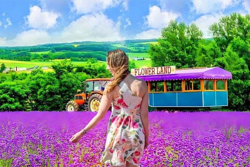 Sapporo: Furano Lavender & Biei Blue Pond Tour with Lunch - Practical Details & Value