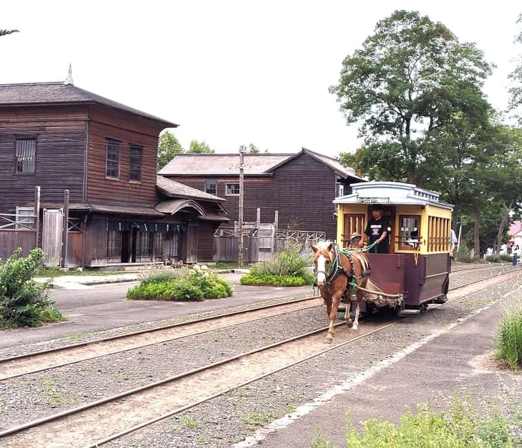 Sapporo: Hokkaido Historical Village, Step into the Frontier - Authenticity and Visitor Feedback