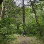 Sapporo: Mt. Maruyama Hike & Okurayama Ski Jump - The Practical Side: What’s Included and What to Consider