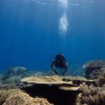Scuba Diving 3 Islands Nha Trang Tour - A Closer Look at the Itinerary and What It Means for You