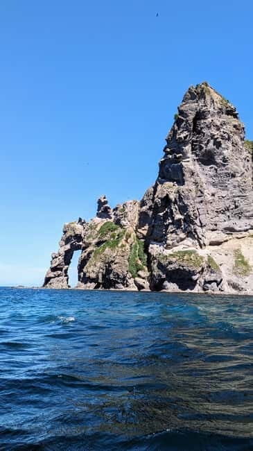 Sea Kayaking Tour - Otaru Coastal Adventure - Final Thoughts