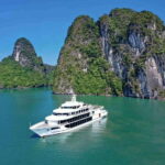 Sea Octopus Cruise - Top Luxury Day Tour Explore Halong Bay - An In-Depth Look at the Sea Octopus Cruise Experience