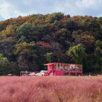 Seasonal Pocheon Full Day Tour with Apple Farm Experience - An Honest Look at the Itinerary and Highlights