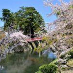 Seasonal Splendor  Kyoto Cherry Blossoms (Spring Only) - Practical Details and What to Bring