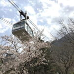 Seoraksan and Cherry Blossom Lake 1 day trip from Seoul - Exploring Seoraksan National Park