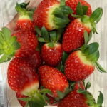 Seoul: Alpaca/Nami/Eobi(+RailBike, Strawberry optional) Tour - Final Thoughts