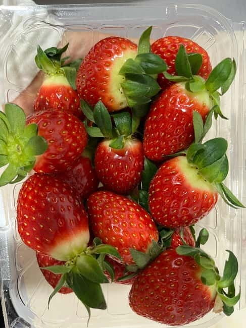 Seoul: Alpaca/Nami/Eobi(+RailBike, Strawberry optional) Tour - Final Thoughts