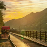 Seoul: Alpaca World & Nami Island (opt. Gangchon Railbike) - How the Experience Feels: Authentic and Fun