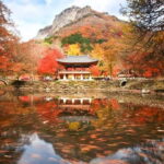 Seoul: Classic Naejangsan National Park Shuttle Bus - Practical Tips for Making the Most of Your Trip