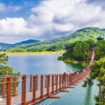 Seoul: DMZ, 3rd Tunnel and Optional Suspension Bridge Tour - Who Will Love This Tour?