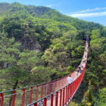 Seoul: DMZ Tour & North Korean Defector Meet Up (As Add-on) - The Infiltration Tunnel