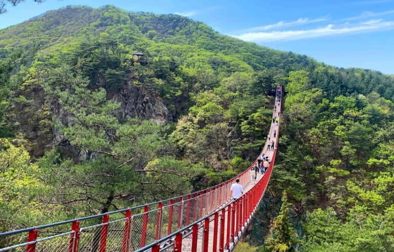 Seoul: DMZ Tour & North Korean Defector Meet Up (As Add-on) - The Infiltration Tunnel