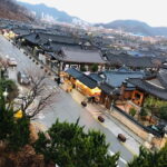Seoul: Donghaksa Cherry Blossom and Jeonju Hanok Day Tour - Who Will Love This Tour?