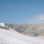 Seoul: Elysian Gangchon Winter Ski Resort Fun Day Tour - Value and Practicality
