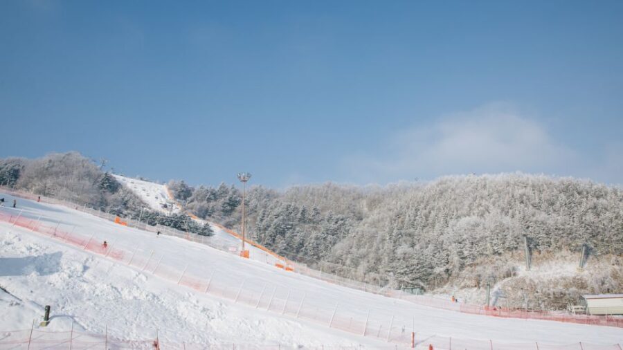 Seoul: Elysian Gangchon Winter Ski Resort Fun Day Tour - Value and Practicality