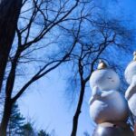 Seoul: Elysian Gangchon Winter Ski with Nami Island Day Tour - Why This Tour Works Well