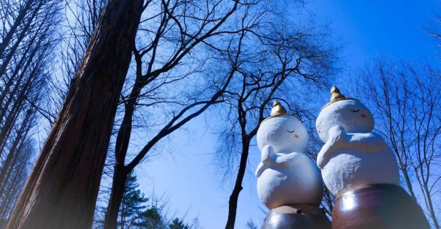 Seoul: Elysian Gangchon Winter Ski with Nami Island Day Tour - Why This Tour Works Well