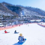 Seoul: Elysian Ski + Eobi Ice Valley + Nami - The Route and Whats Included