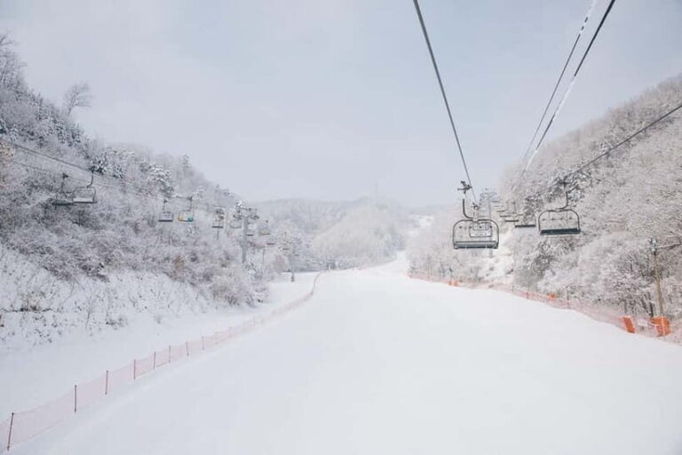 Seoul: Elysian Ski Resort & Eobi Ice Valley - What Makes This Tour Worthwhile?