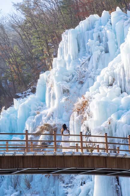 Seoul: Eobi Ice Valley, Alpaca World, Nami Island and More - The Value and Practical Details