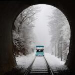 Seoul: Eobi Ice Valley, Nami Island & Railbike opt Garden - Final Verdict