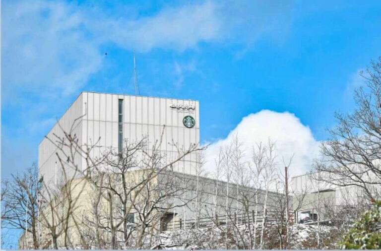 Seoul: Gimpo DMZ to Aegibong Ecopark, Gochujang DIY(EG Tour) - Why This Tour Offers Excellent Value