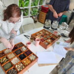 Seoul: Herbal Tea Class & Korean Medicine Tour - Final Thoughts
