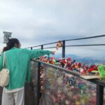 Seoul: Highlights of Seoul Half-Day Tour - What to Expect and How It All Comes Together