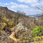 Seoul: Hiking Ansan Jarak-gil Trail & Makgeolli Experience - Final Thoughts: Is This Tour Right for You?