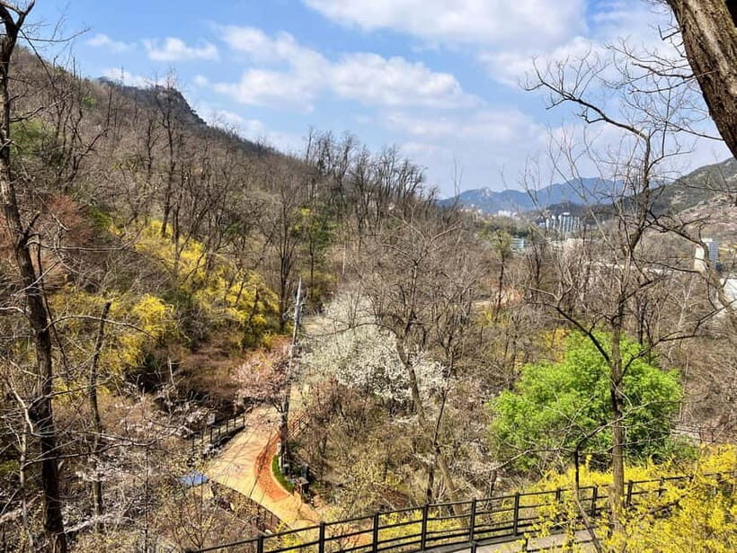 Seoul: Hiking Ansan Jarak-gil Trail & Makgeolli Experience - Final Thoughts: Is This Tour Right for You?
