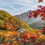 Seoul: Hwadam Forest & Namhansanseong & Korean Folk Village - What to Expect from the Tour