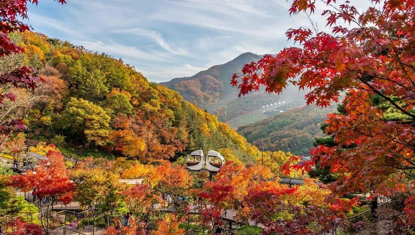 Seoul: Hwadam Forest & Namhansanseong & Korean Folk Village - What to Expect from the Tour