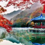 Seoul: Hwadamsup & Luge & Korea Folk Village One Day Tour - The Practical Side: What’s Included and What’s Not