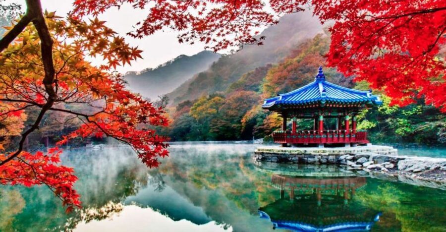 Seoul: Hwadamsup & Luge & Korea Folk Village One Day Tour - The Practical Side: What’s Included and What’s Not