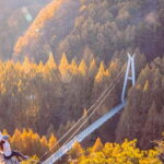 Seoul: Jangtaesan Recreational Forest Autumn Foliage Tour - Authentic Insights from Reviews