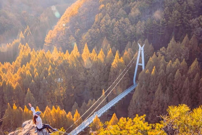 Seoul: Jangtaesan Recreational Forest Autumn Foliage Tour - Authentic Insights from Reviews
