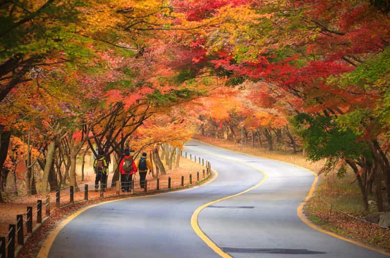 Seoul: Naejangsan National Park Autumn Foliage One Day Tour - An In-Depth Look at the Naejangsan Autumn Foliage Tour