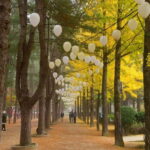 Seoul: Nami+Hanbok+Waterfall(+RailBike or Strawberry)Tour - The Value of This Tour