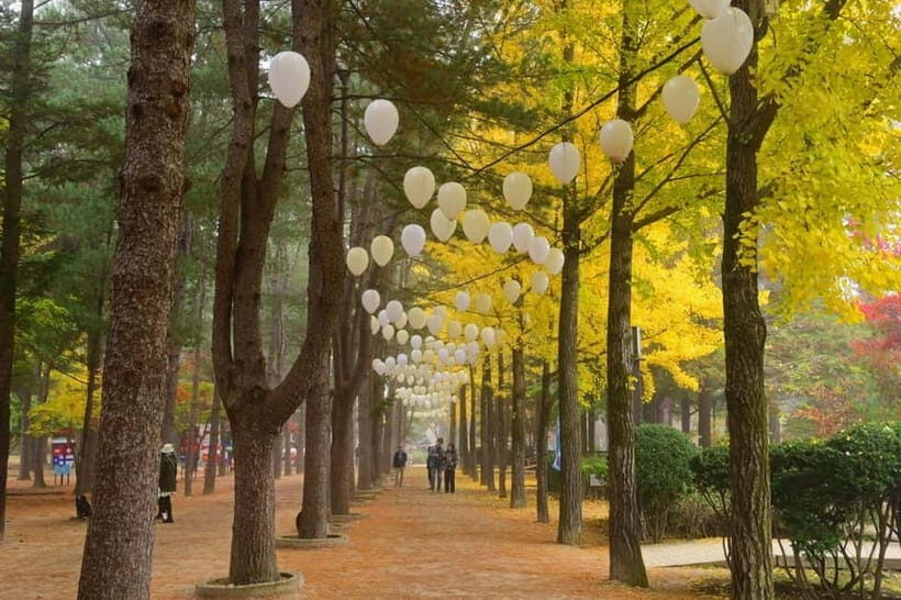 Seoul: Nami+Hanbok+Waterfall(+RailBike or Strawberry)Tour - The Value of This Tour