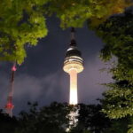 Seoul: Night Views Tour with Guide and Transfers - Practical Details and What to Expect