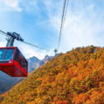 Seoul: Odaesan or Daedunsan Park Autumn Foliage Day Tour - Authentic Experiences and Insider Tips