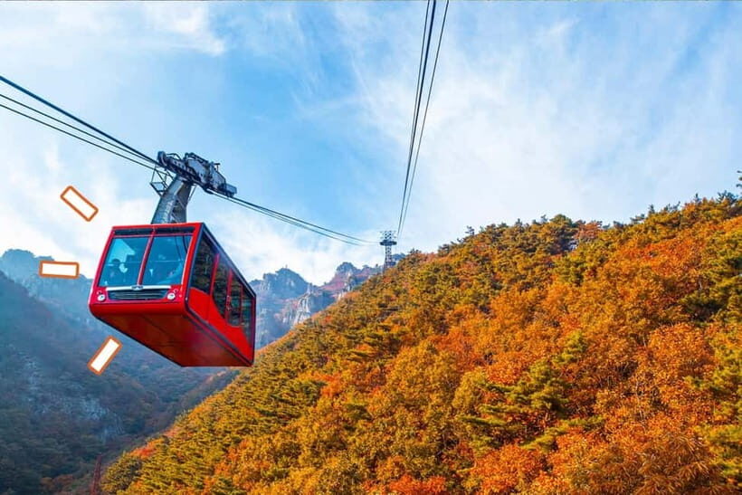 Seoul: Odaesan or Daedunsan Park Autumn Foliage Day Tour - Authentic Experiences and Insider Tips