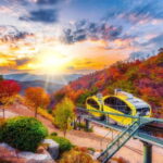 Seoul: Pocheon Art Valley, Garden and Fruit Picking Day Tour - The Value of This Tour